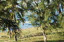 Rodrigues_2016_104