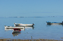 Rodrigues_2016_121