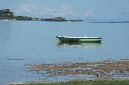Rodrigues_2016_123