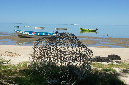 Rodrigues_2016_124