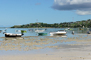 Rodrigues_2016_125