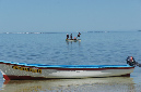 Rodrigues_2016_126