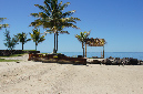 Rodrigues_2016_127