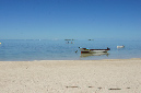 Rodrigues_2016_128