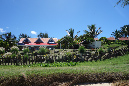 Rodrigues_2016_130
