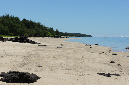 Rodrigues_2016_133