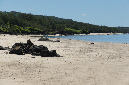 Rodrigues_2016_135