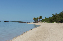 Rodrigues_2016_136