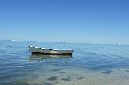 Rodrigues_2016_142