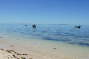 Rodrigues_2016_145