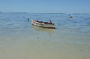Rodrigues_2016_146