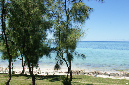 Rodrigues_2016_151