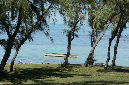 Rodrigues_2016_152