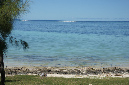 Rodrigues_2016_153