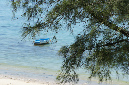 Rodrigues_2016_156