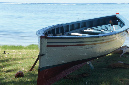 Rodrigues_2016_158