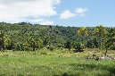 Rodrigues_2016_159