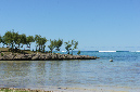 Rodrigues_2016_160