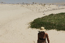 Rodrigues_2016_163