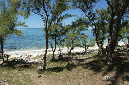 Rodrigues_2016_164