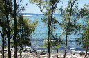 Rodrigues_2016_165