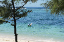 Rodrigues_2016_167