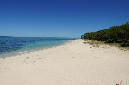 Rodrigues_2016_168