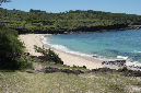 Rodrigues_2016_169