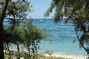 Rodrigues_2016_171