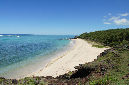 Rodrigues_2016_175