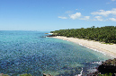 Rodrigues_2016_177