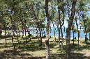 Rodrigues_2016_180