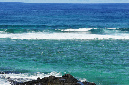Rodrigues_2016_186