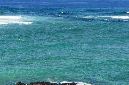 Rodrigues_2016_188