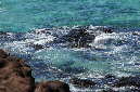 Rodrigues_2016_189
