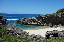 Rodrigues_2016_193
