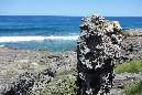 Rodrigues_2016_194