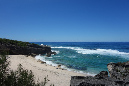 Rodrigues_2016_195
