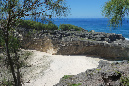 Rodrigues_2016_198