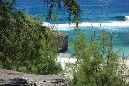 Rodrigues_2016_202