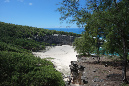 Rodrigues_2016_204