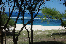 Rodrigues_2016_207
