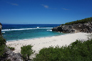 Rodrigues_2016_209