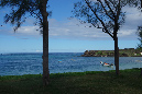 Rodrigues_2016_216