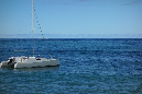 Rodrigues_2016_218