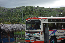 Rodrigues_2016_222