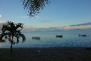 Rodrigues_2016_223