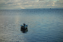 Rodrigues_2016_224