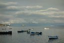 Rodrigues_2016_225