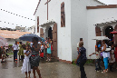 Rodrigues_2016_233